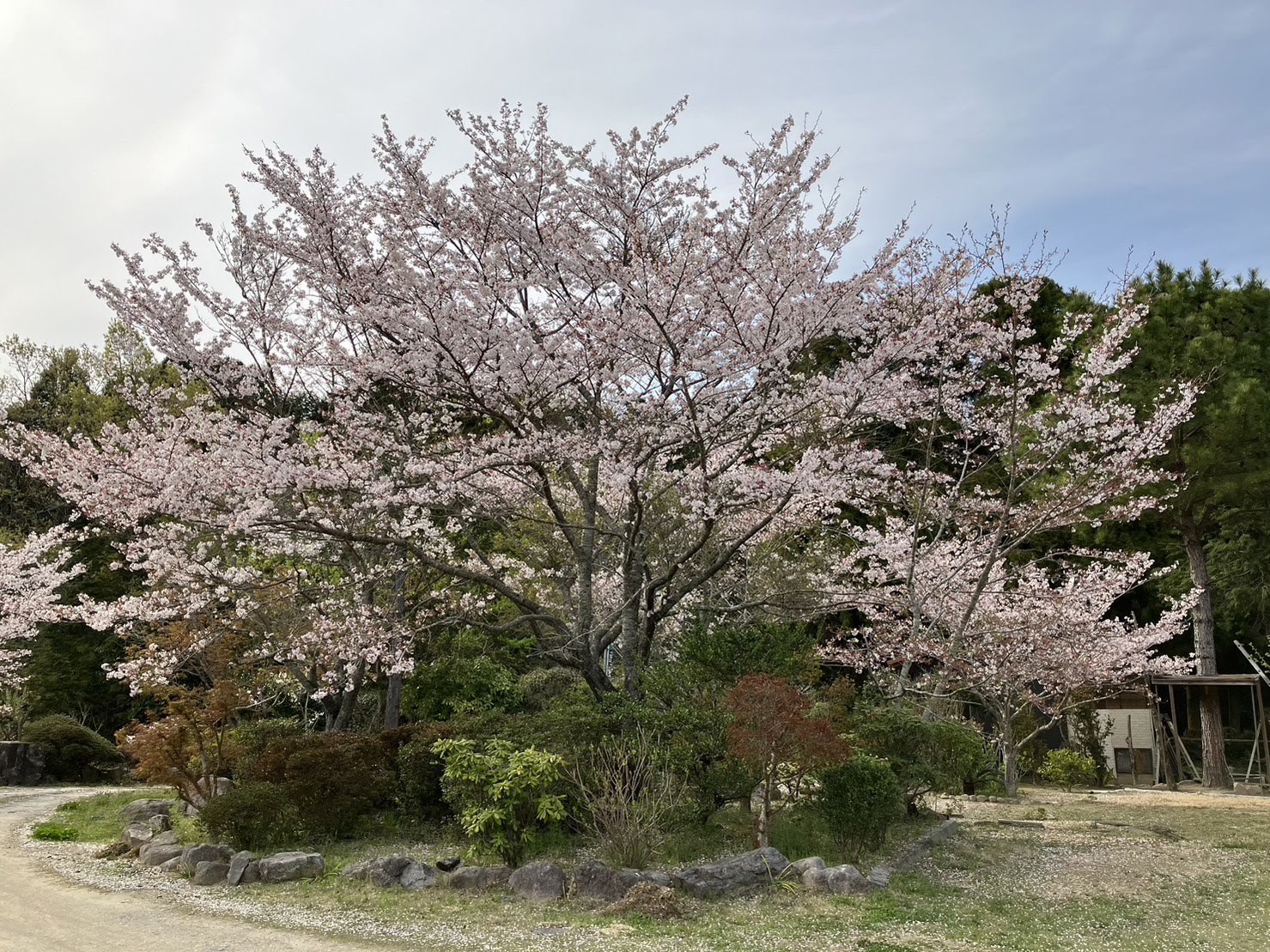 約4,000坪！田舎暮らしを始めませんか！？